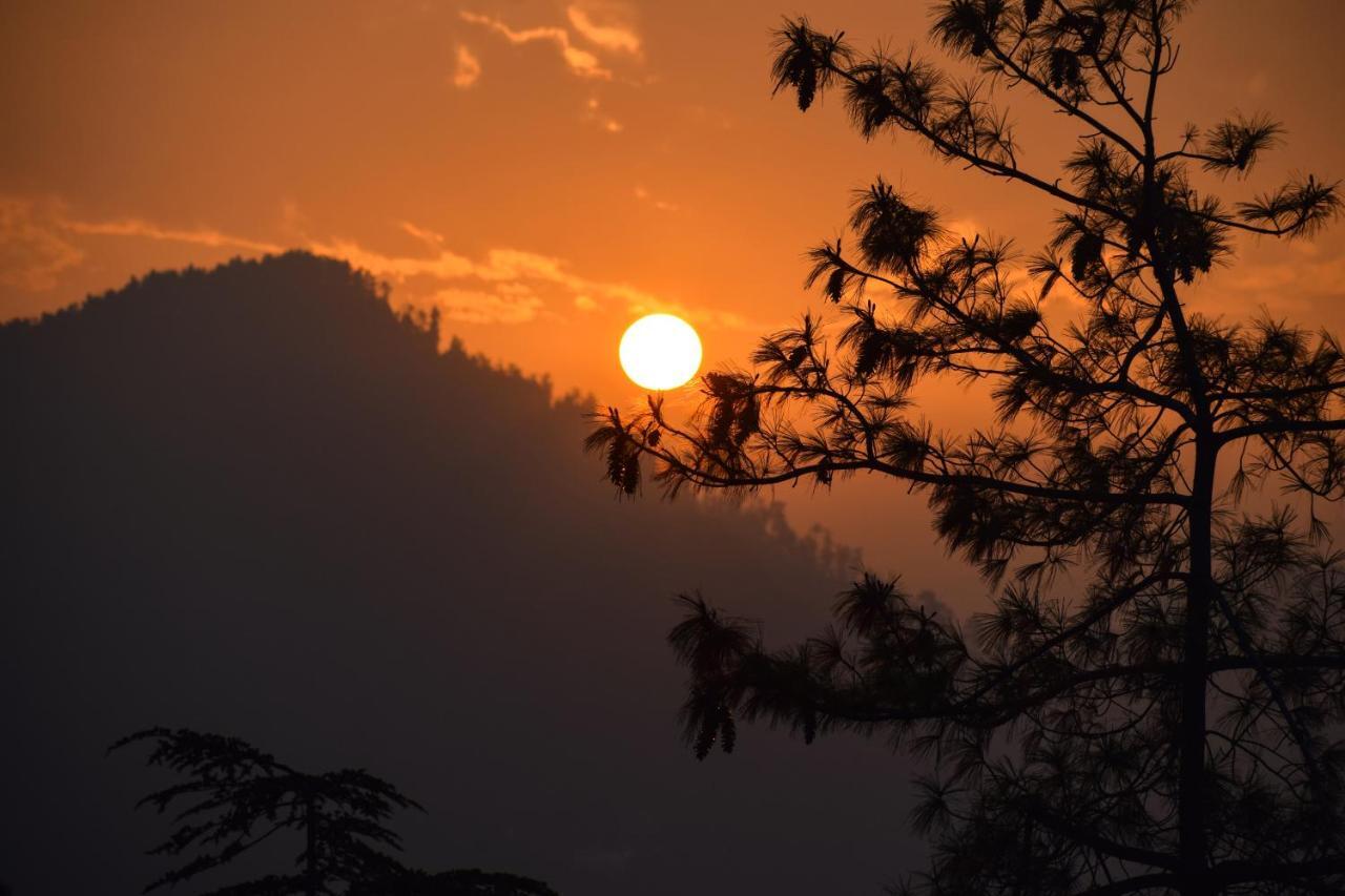 Aachman Nature Valley Resort, Mashobra Šimla Exteriér fotografie